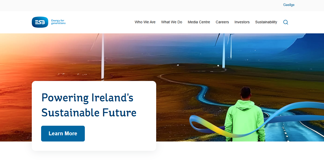 Electricity Supply Board  website homepage