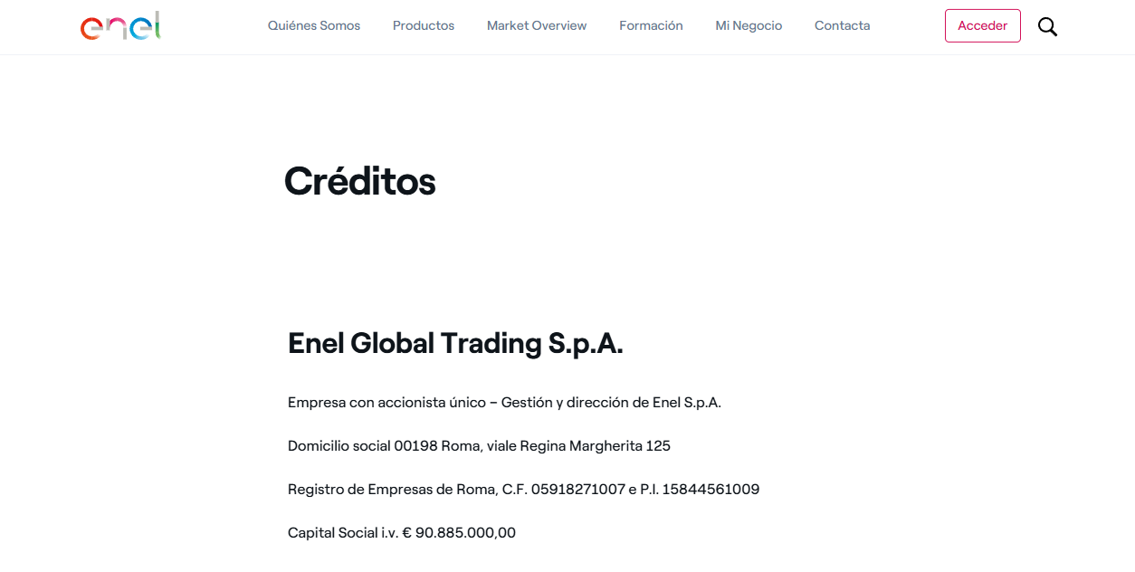 Enel Global Trading Spa  website homepage